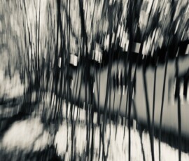 Bamboo-garden
