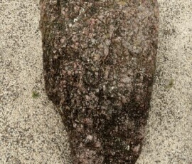Head-I