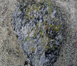Head-II