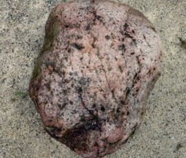 Head-III