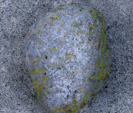 Head-IV
