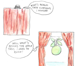 Behind the curtains