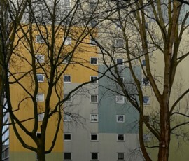 Trees-with-a-house II