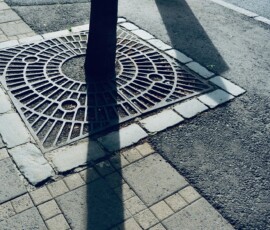 Urban-tree